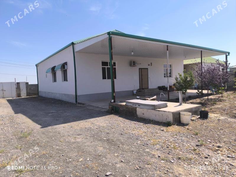 Bereketli zaman Gäwers - Änew - img 7