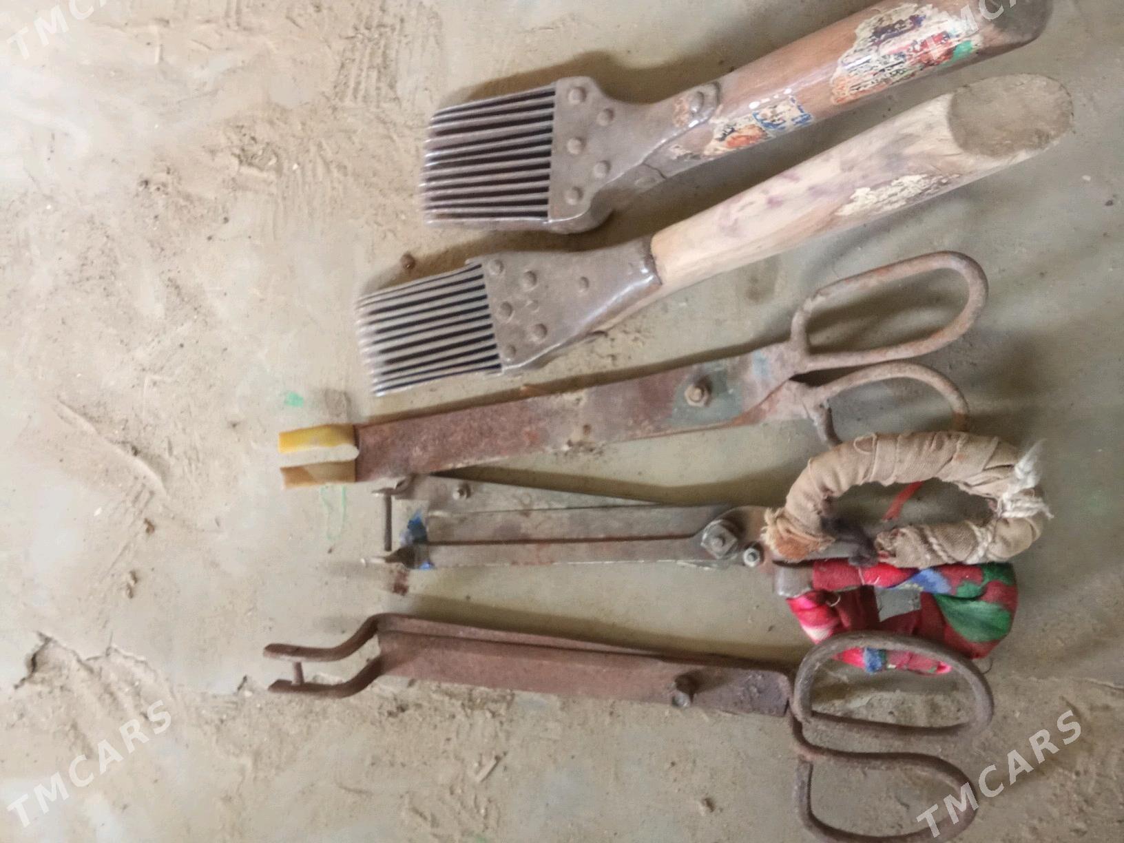 darak synny - Gumdag - img 1