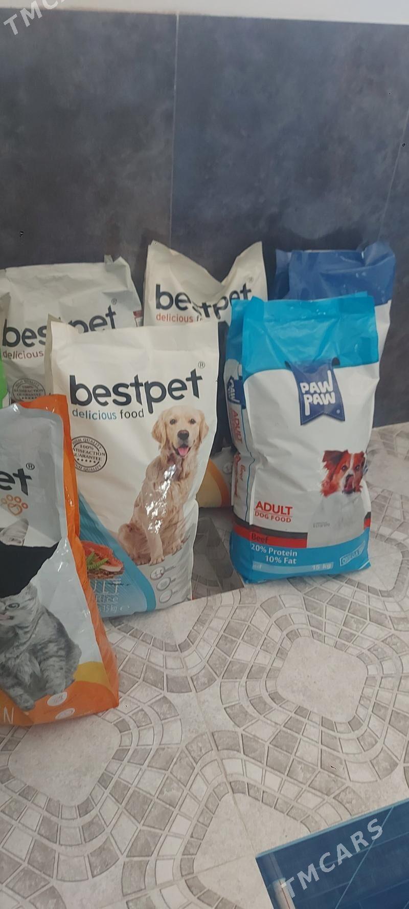 корм для кошек и собак - Аркадаг - img 2