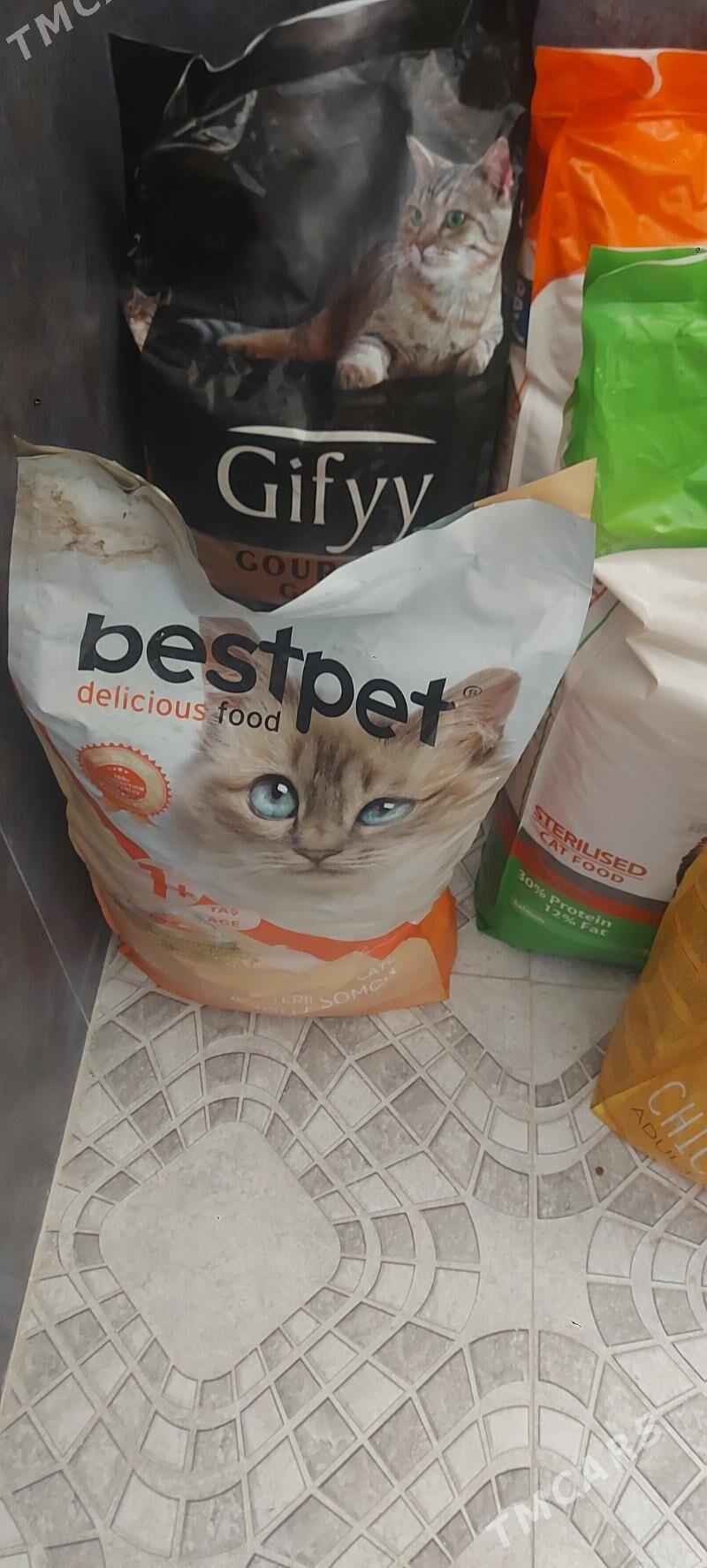 корм для кошек и собак - Аркадаг - img 3