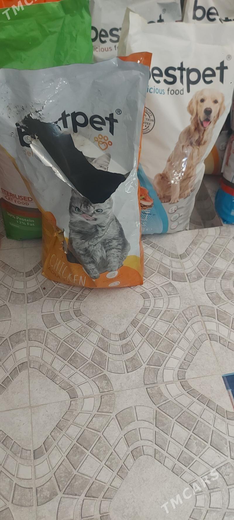 корм для кошек и собак - Аркадаг - img 5