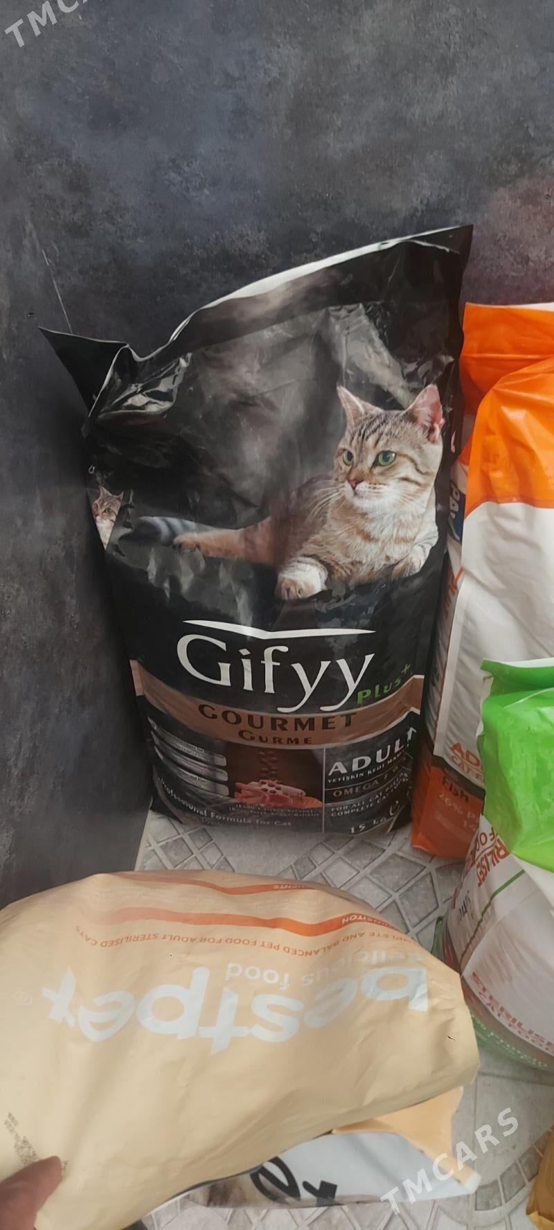 корм для кошек и собак - Аркадаг - img 4