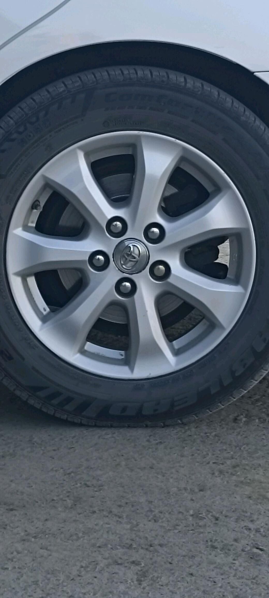 diska 16 okuz kelle 3 500 TMT - Серахс - img 1