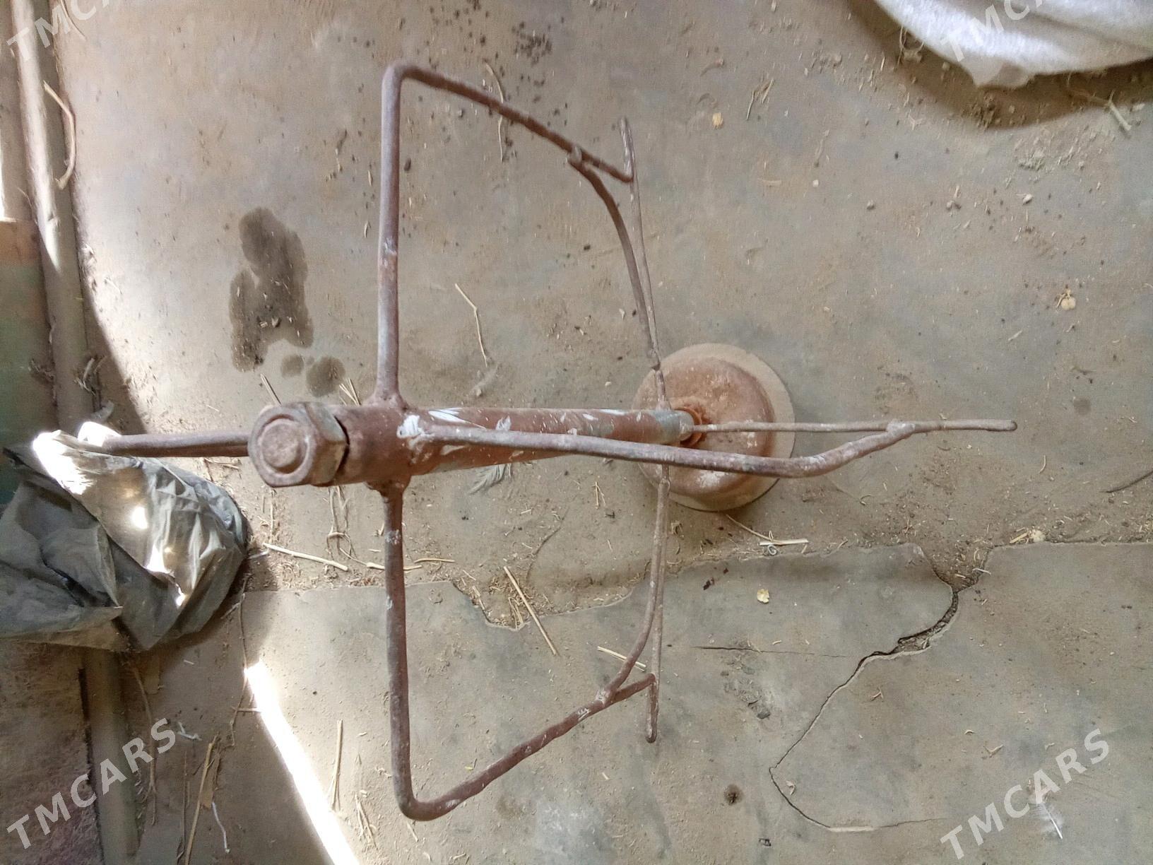 darak synny - Gumdag - img 2