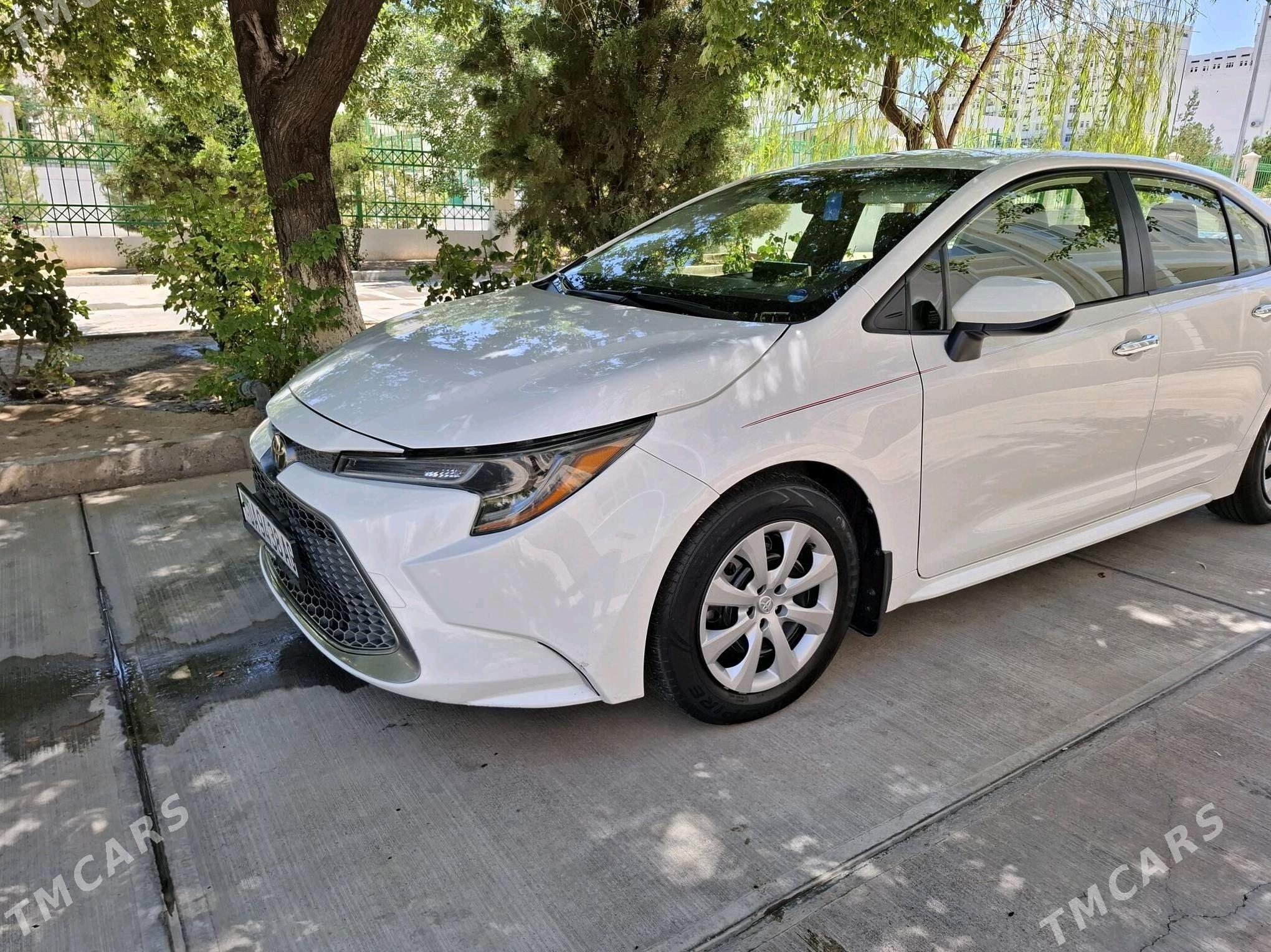 Toyota Corolla 2020 - 265 000 TMT - Ашхабад - img 5