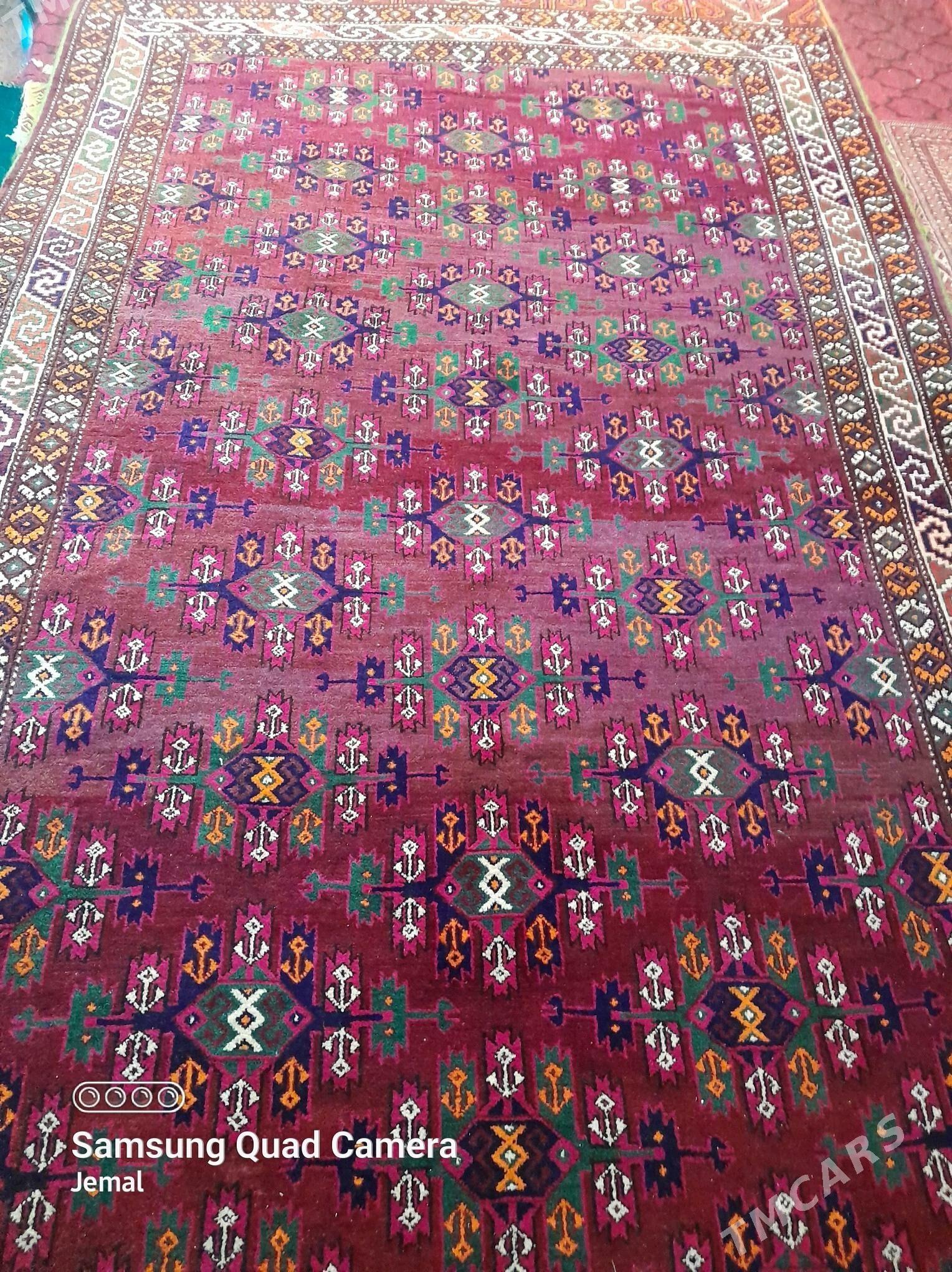 El haly - Köneürgenç - img 1