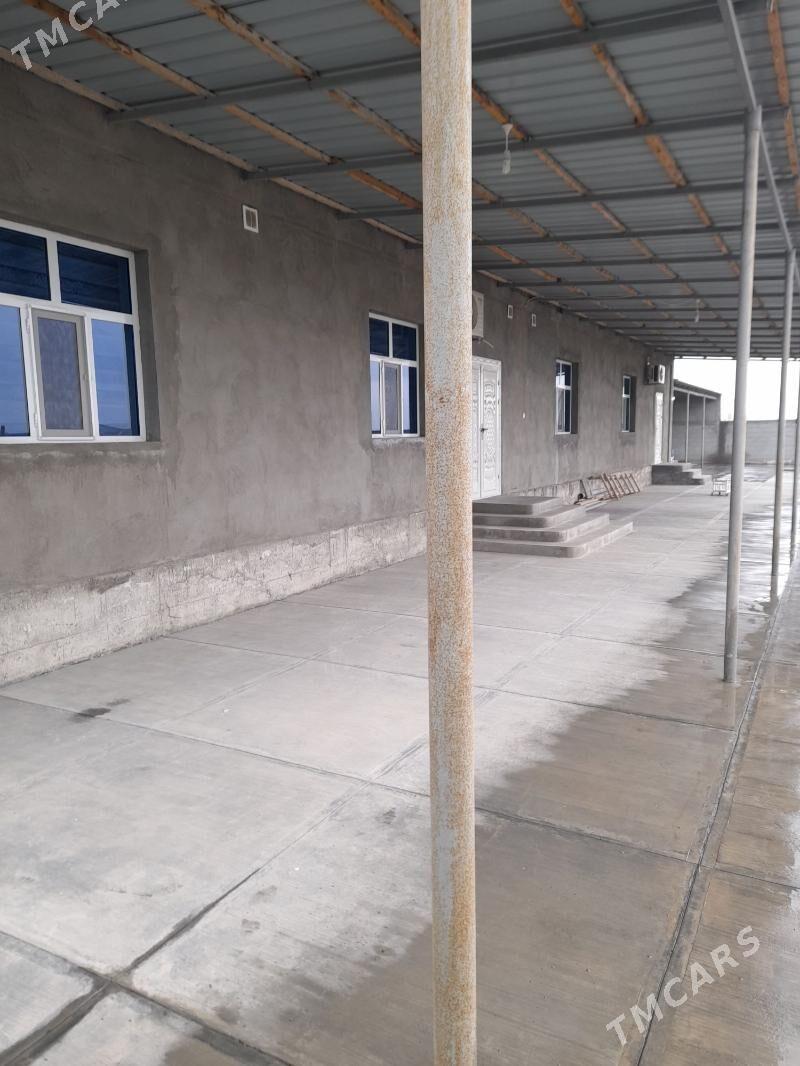 Satlyk jaylar - Gökdepe - img 2