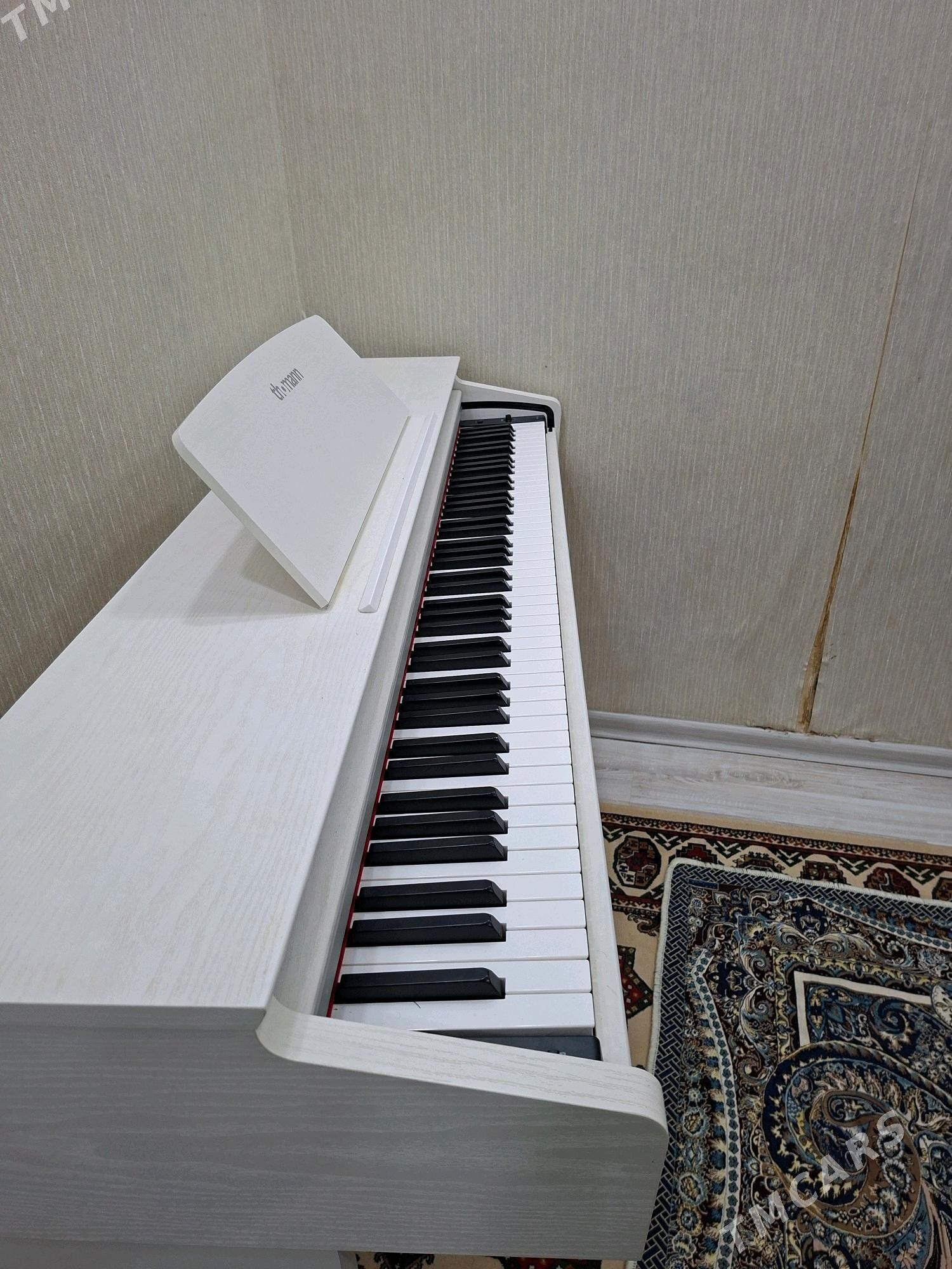 piyanino - Aşgabat - img 4