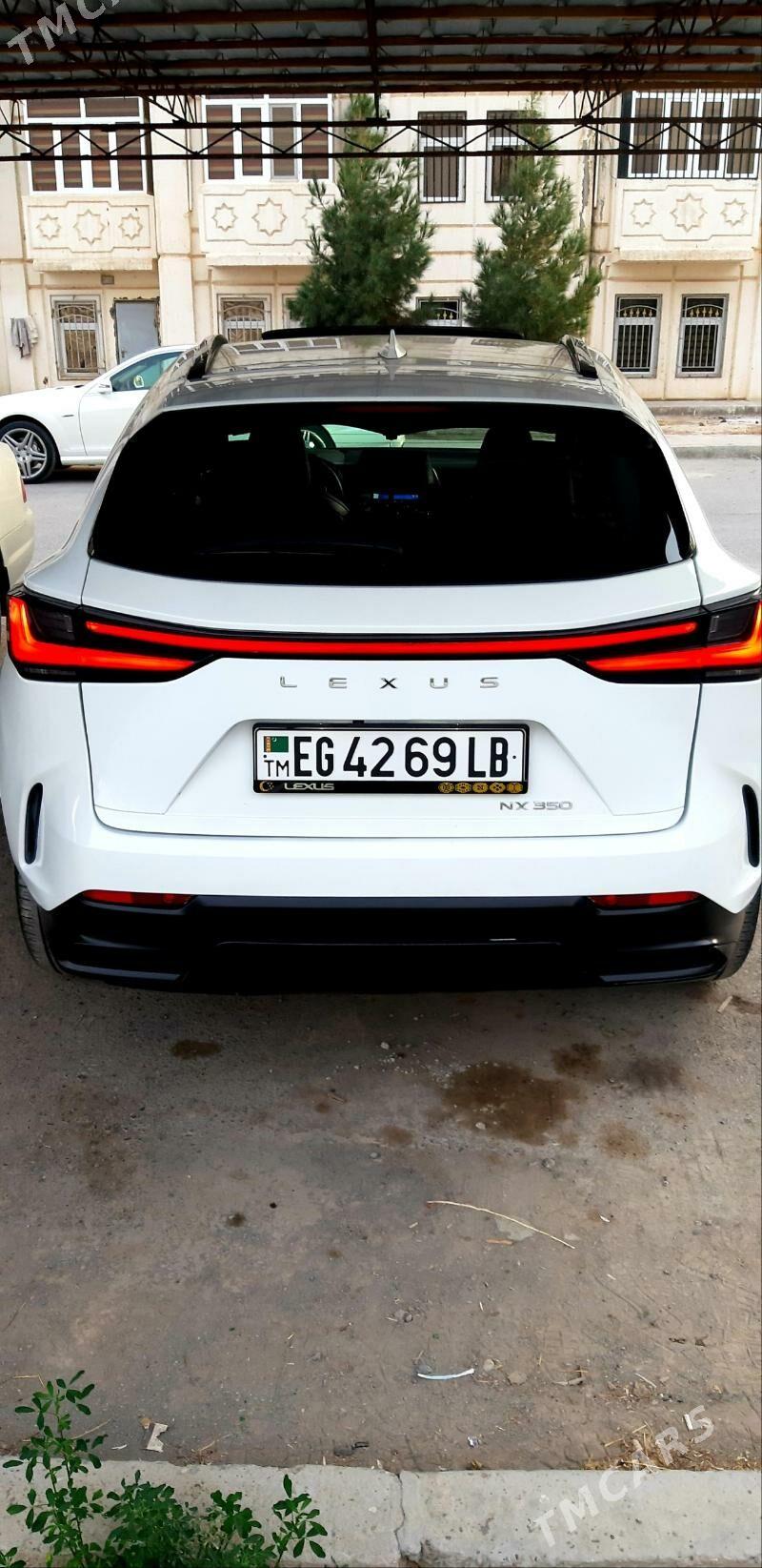 Lexus NX 350 2023 - 700 000 TMT - Türkmenabat - img 3