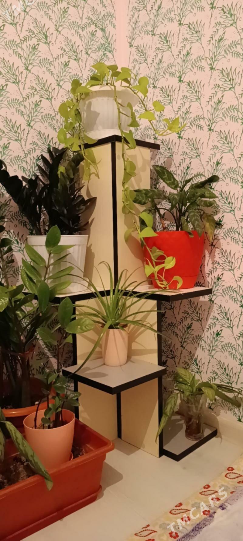 gul padstavka - Sarahs - img 1