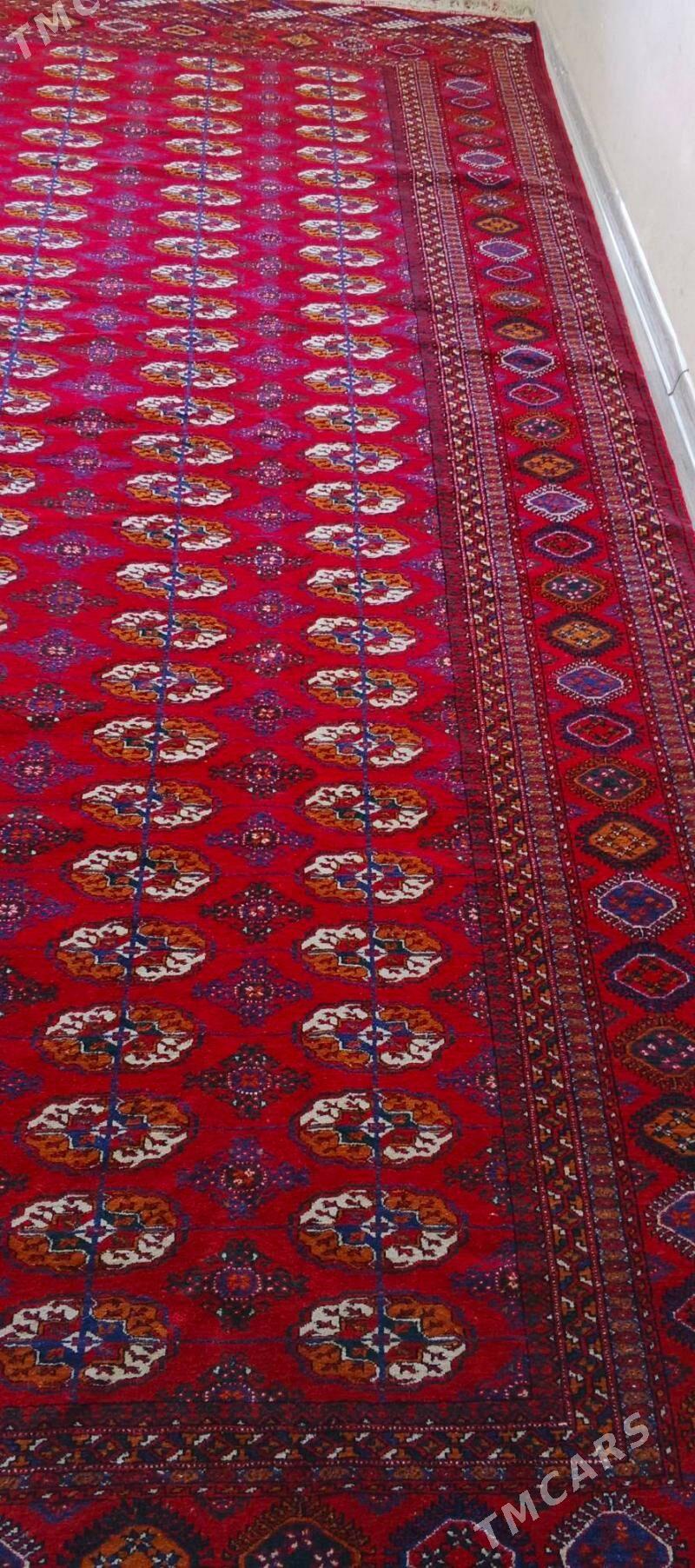 ARTEL haly satlyk - Balkanabat - img 2