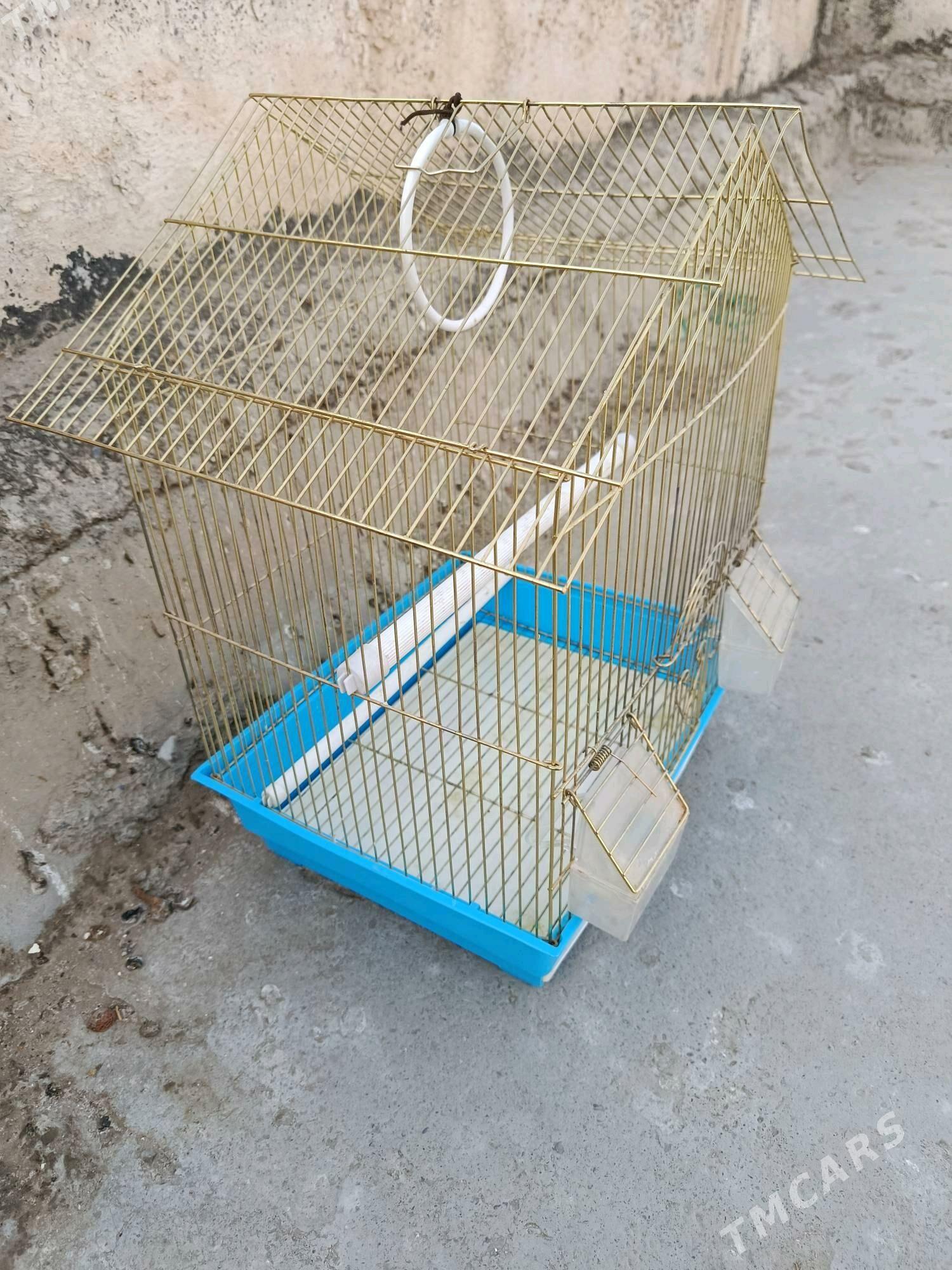 kletka, клетка - Aşgabat - img 1