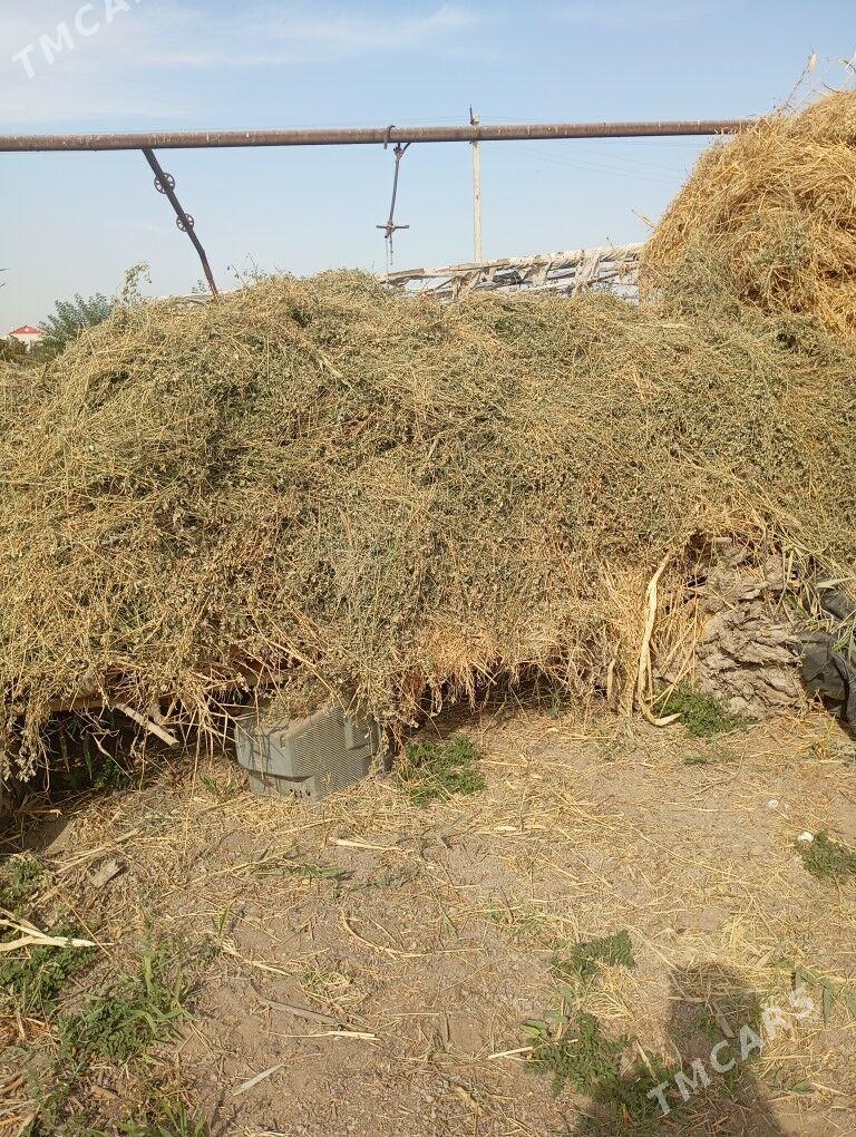 Ot - Мары - img 3