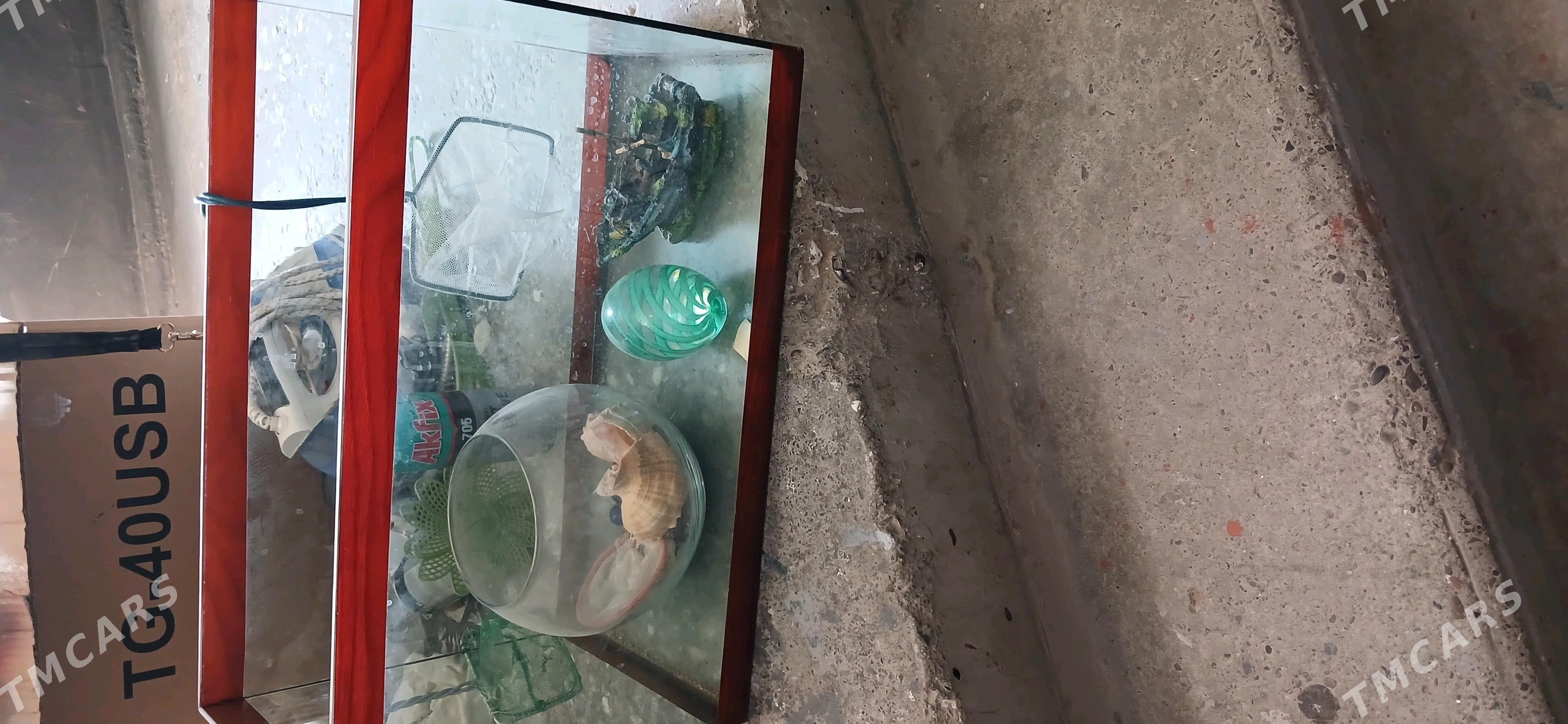 Акварыюм - Мир 2 - img 1