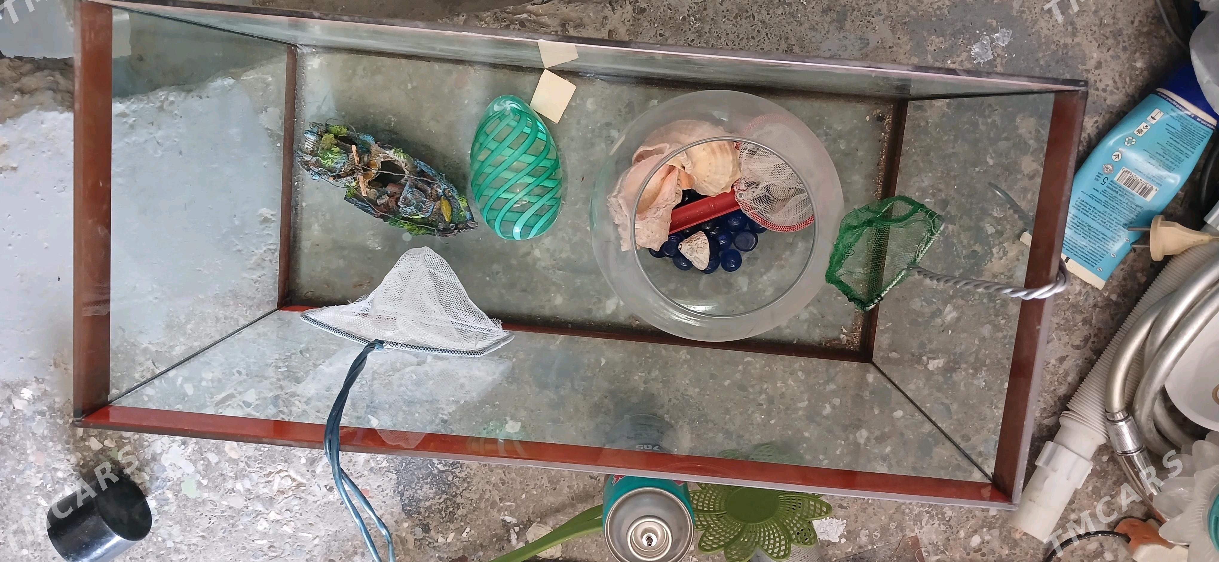 Акварыюм - Мир 2 - img 2