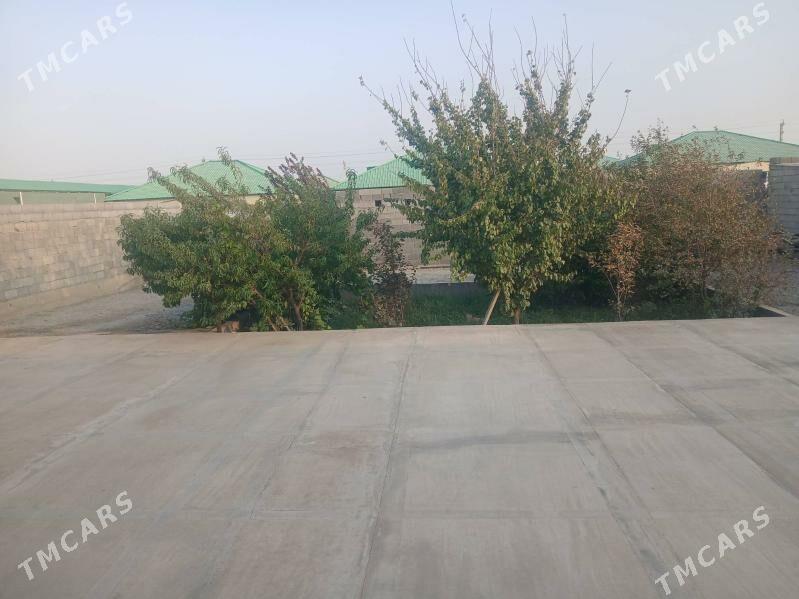 Satlyk Elitka - Бахарден - img 2