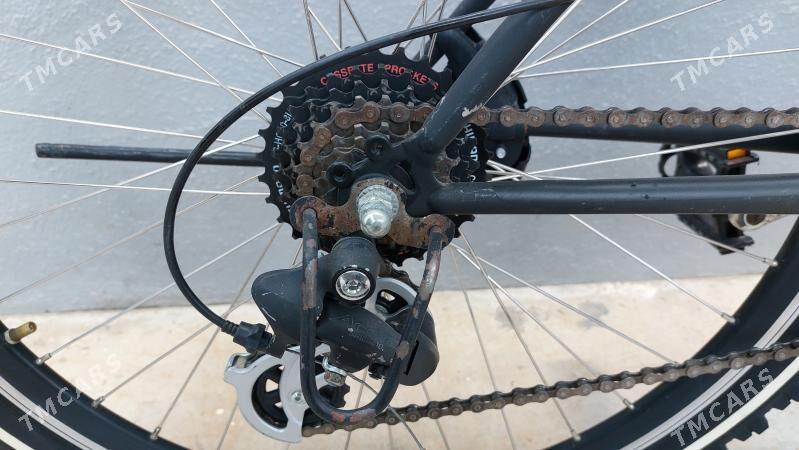 Tigir welisoped - Чоганлы - img 2