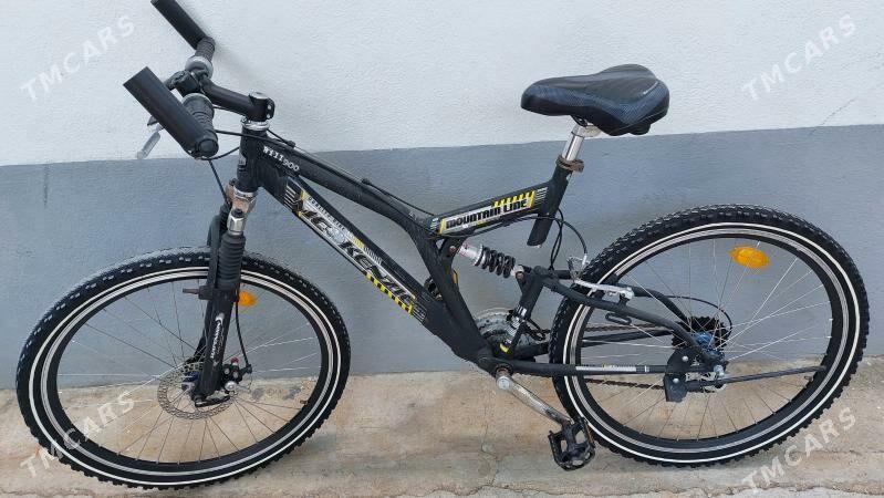 Tigir welisoped - Чоганлы - img 3