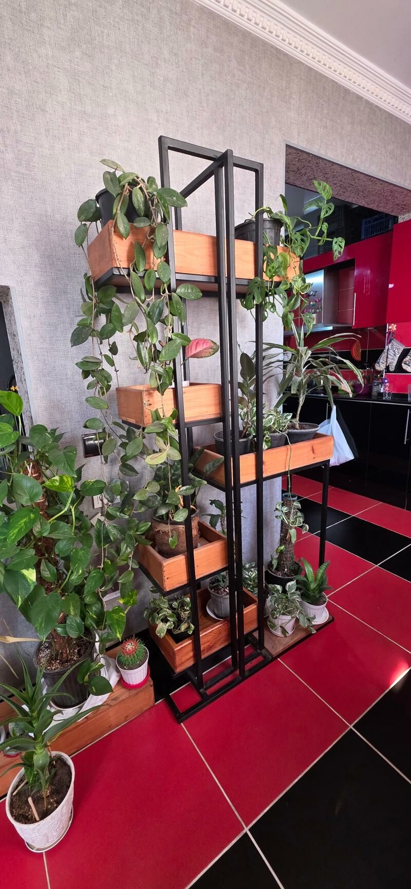 Стенка,  цветы домашние - Howdan "B" - img 4