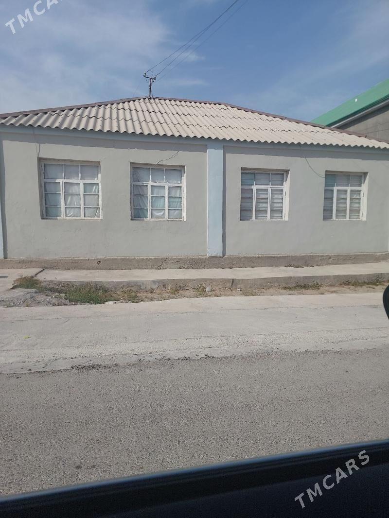 satlyk.jaý gami - Ak bugdaý etraby - img 1