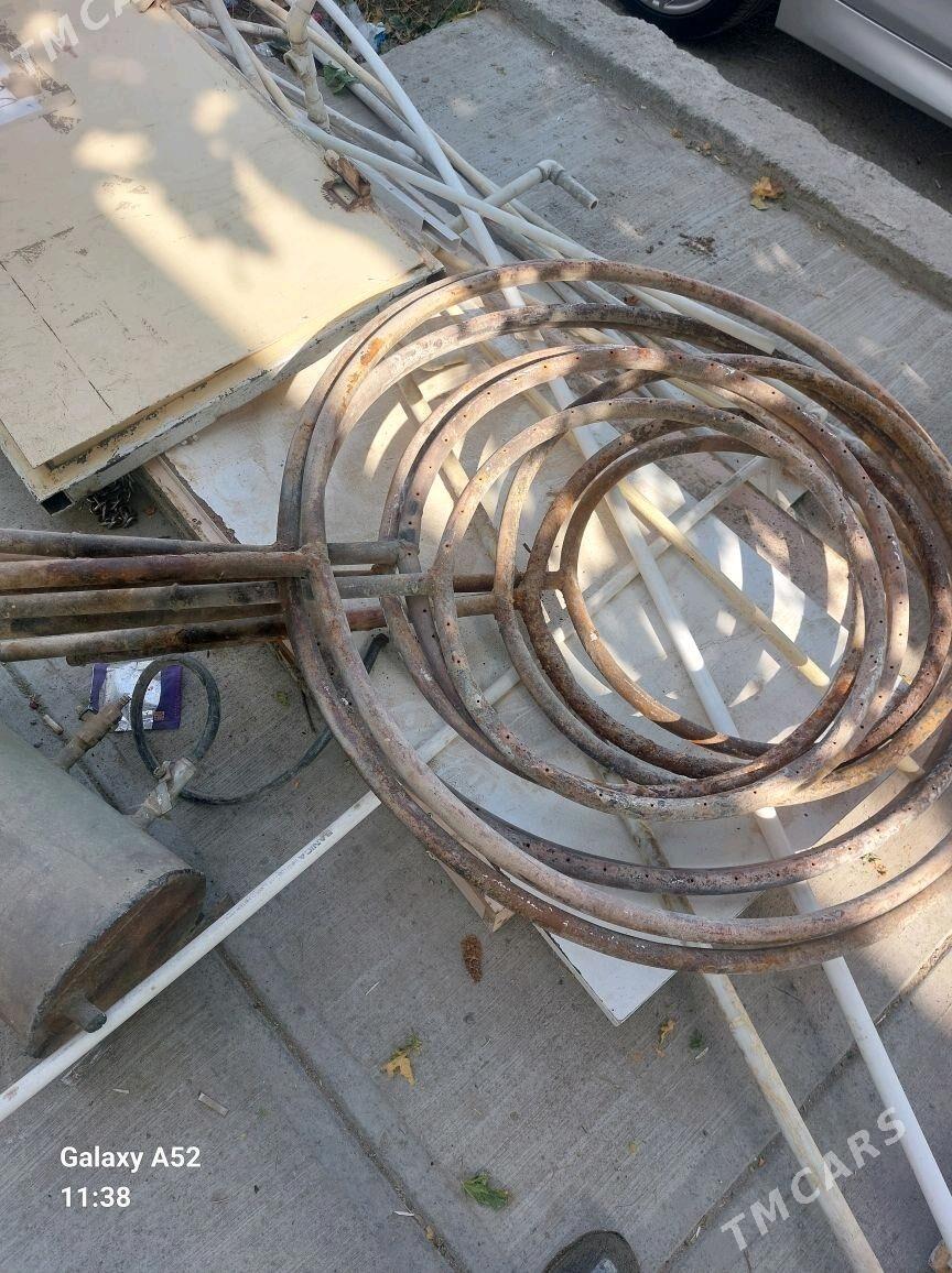 tamdyr farsunka - Bedew - img 1