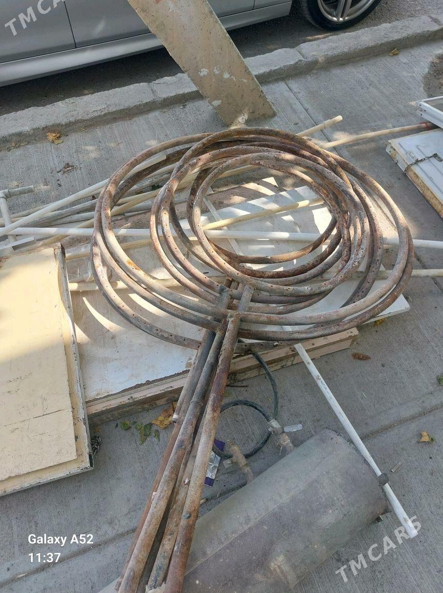 tamdyr farsunka - Bedew - img 3