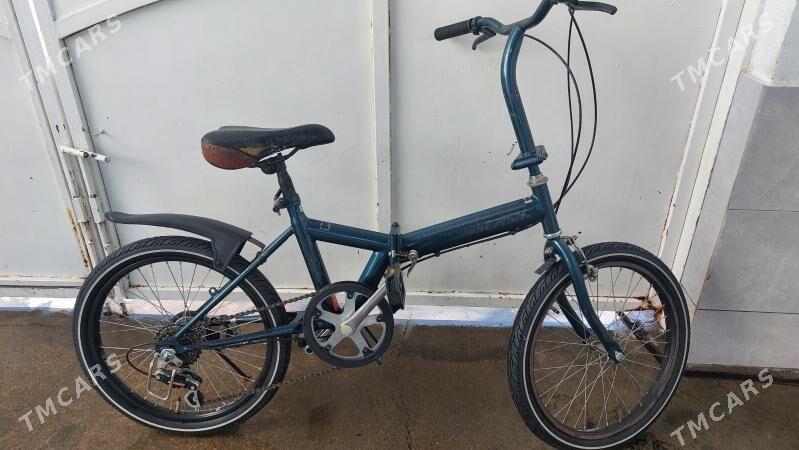 Tigir welisoped - Чоганлы - img 2