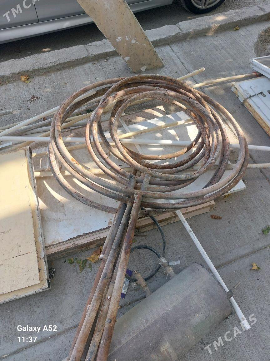 tamdyr farsunka - Bedew - img 2