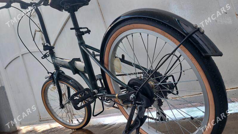 Tigir welisoped - Чоганлы - img 4