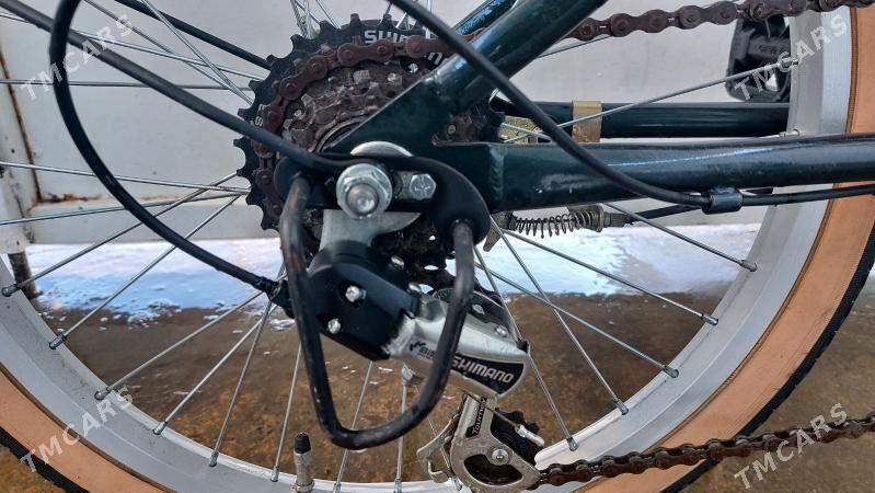 Tigir welisoped - Чоганлы - img 3