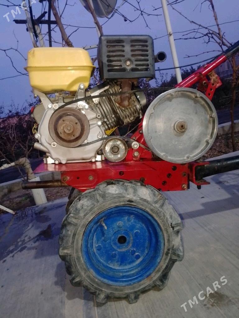 matabolok - Çärjew - img 4