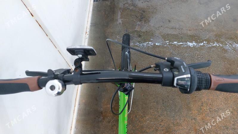 Tigir welisoped - Çoganly - img 4