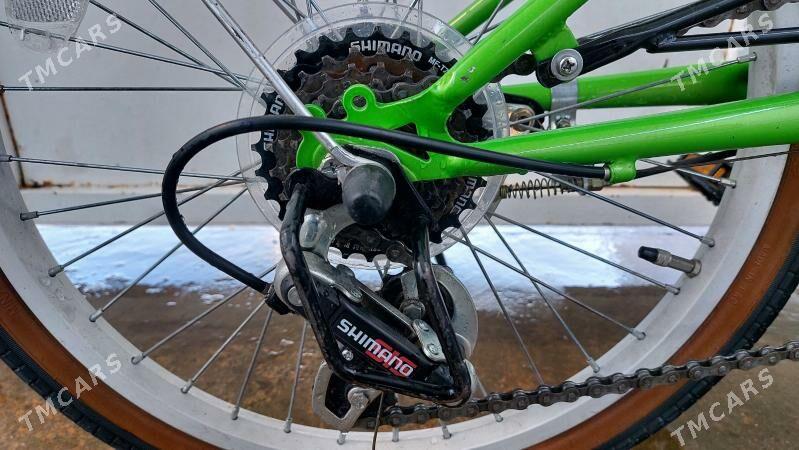 Tigir welisoped - Çoganly - img 5