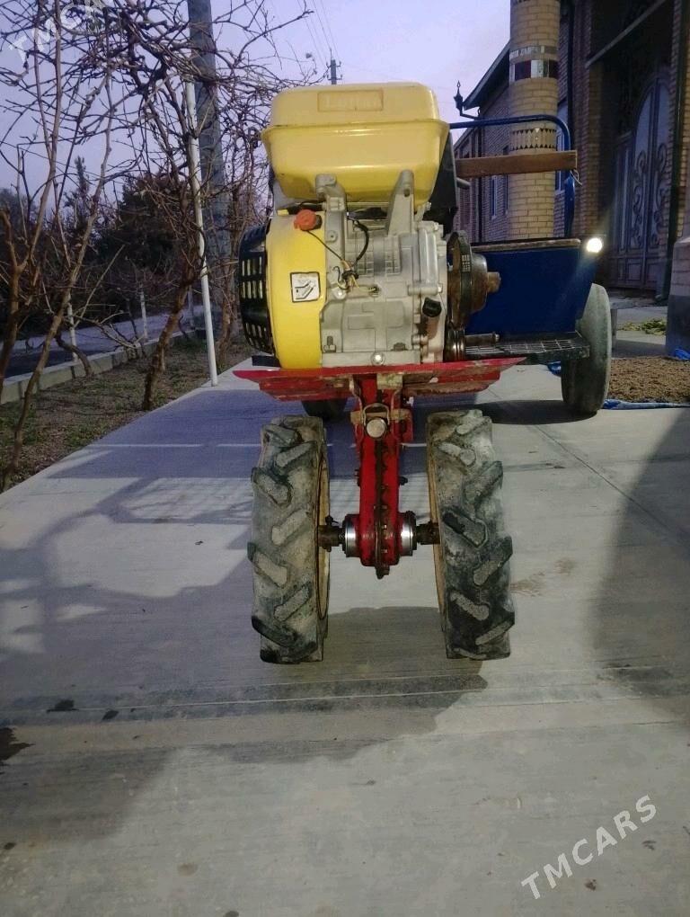 matabolok - Çärjew - img 5