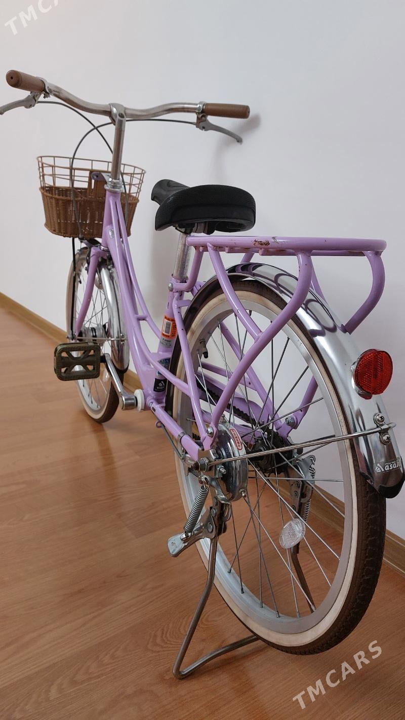 Tigir welisoped - Çoganly - img 3