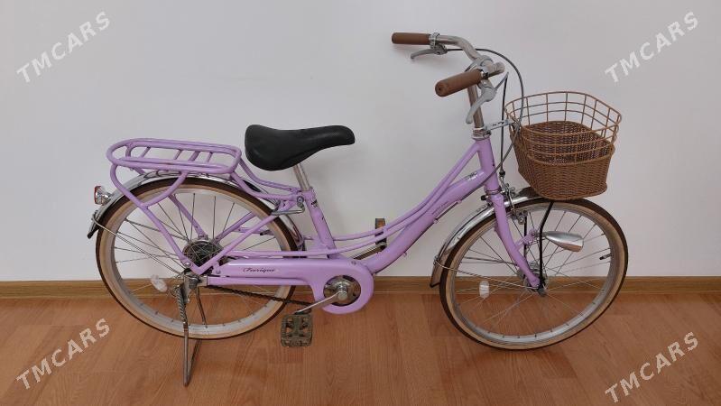 Tigir welisoped - Çoganly - img 2