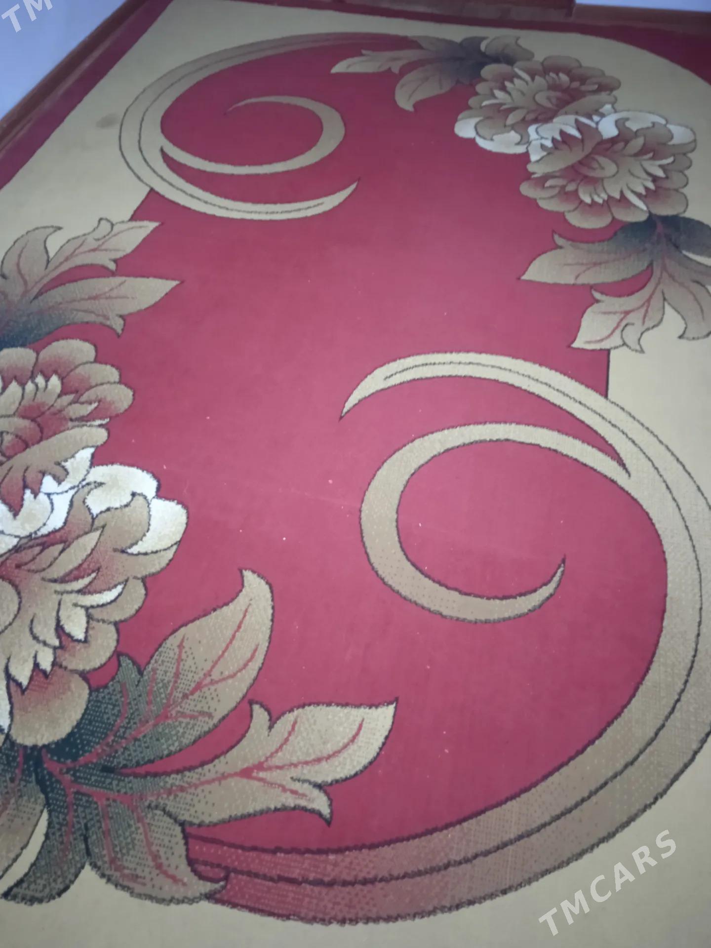 Haly - Boldumsaz - img 2