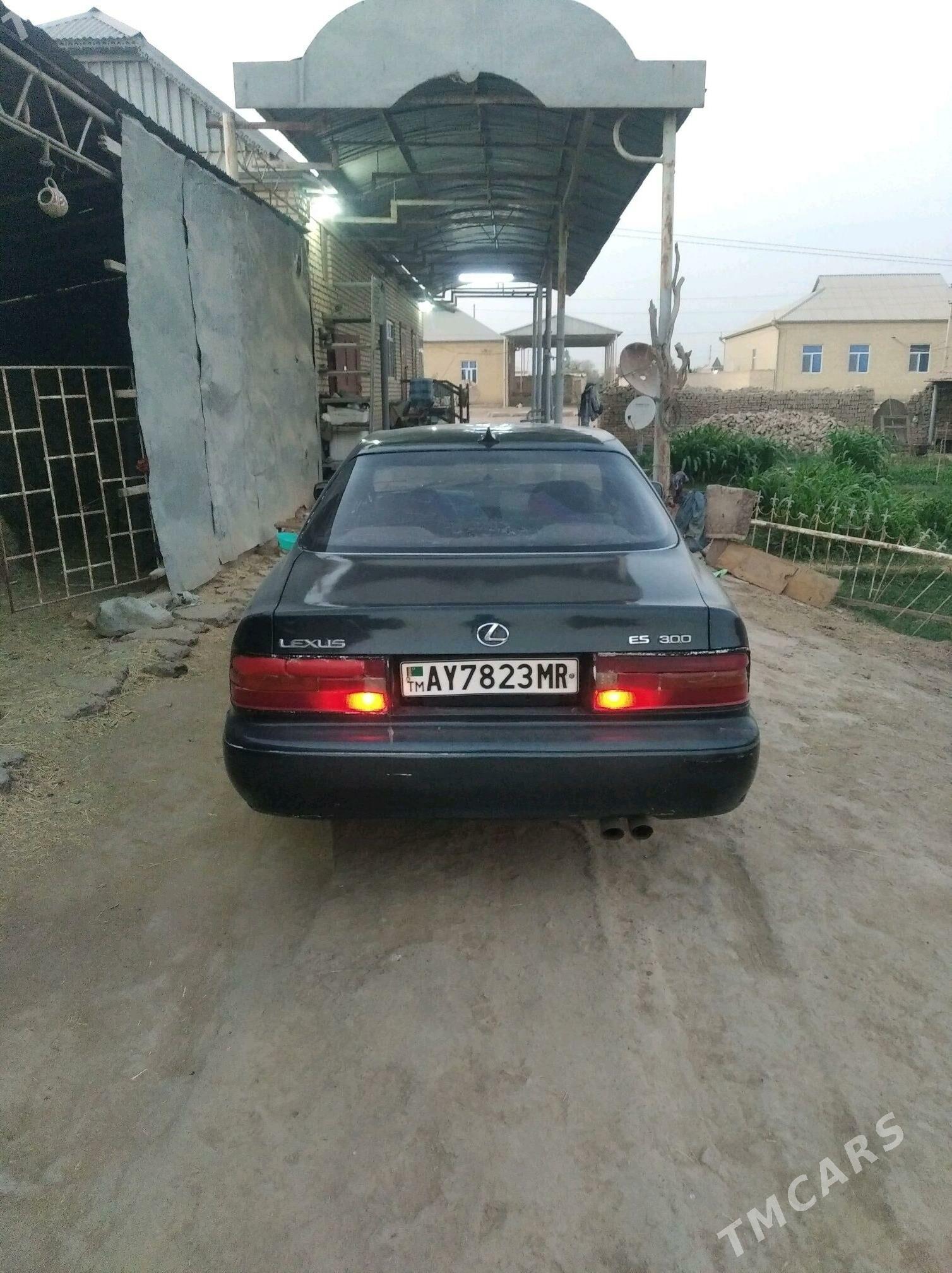 Toyota Windom 1995 - 30 000 TMT - Murgap - img 4