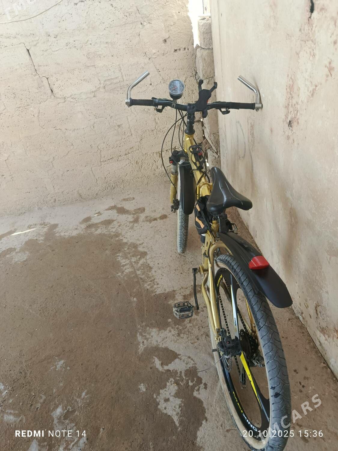 tigir - Карабогаз - img 2