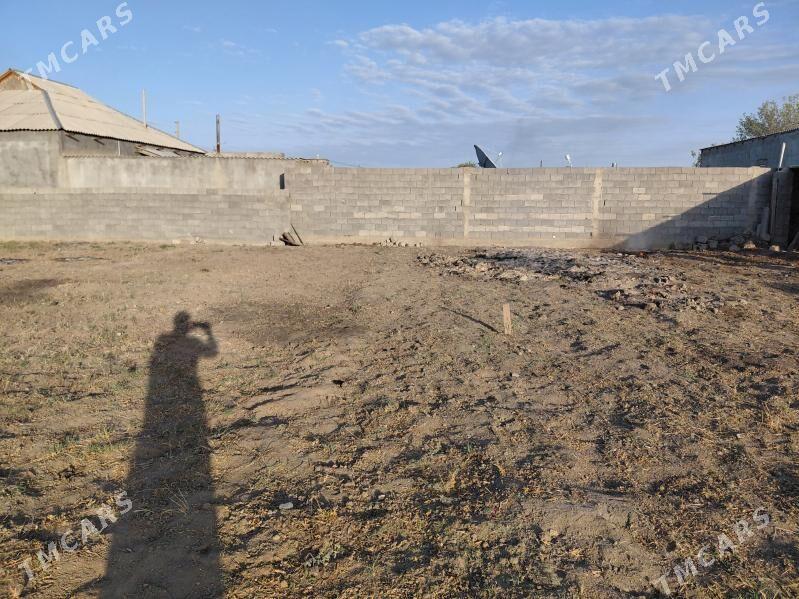 Bos mellek - Gökdepe - img 5