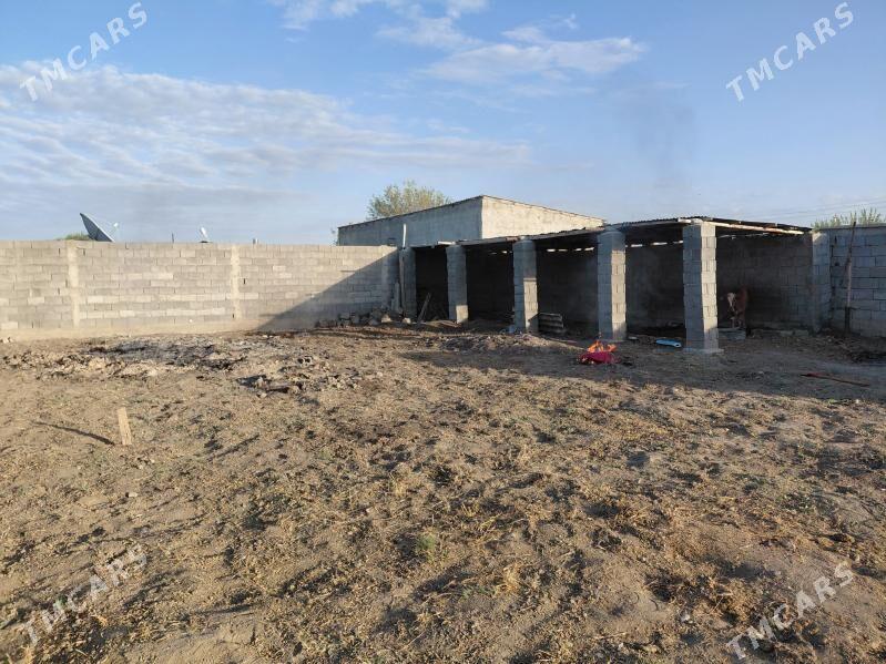 Bos mellek - Gökdepe - img 6