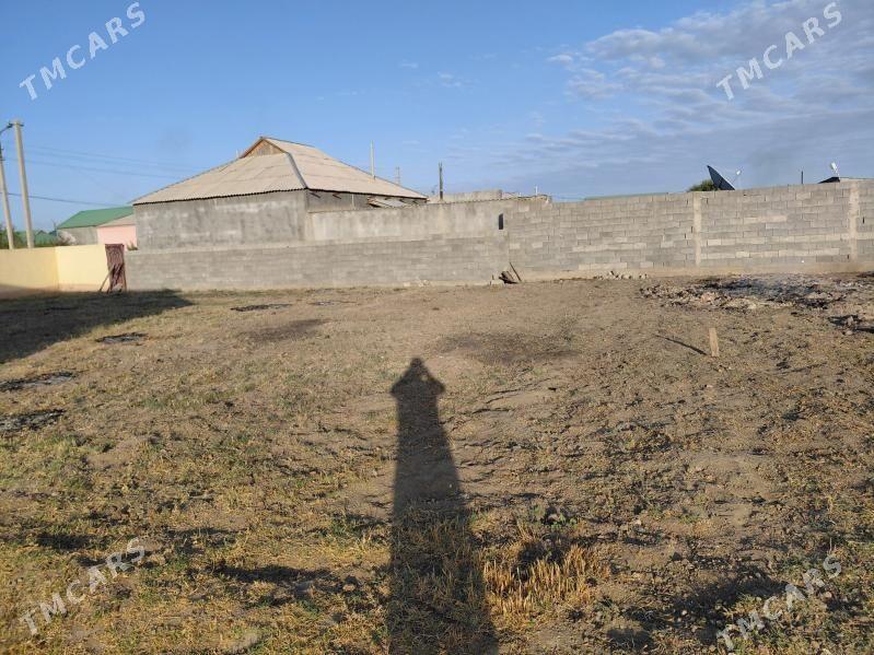 Bos mellek - Gökdepe - img 4