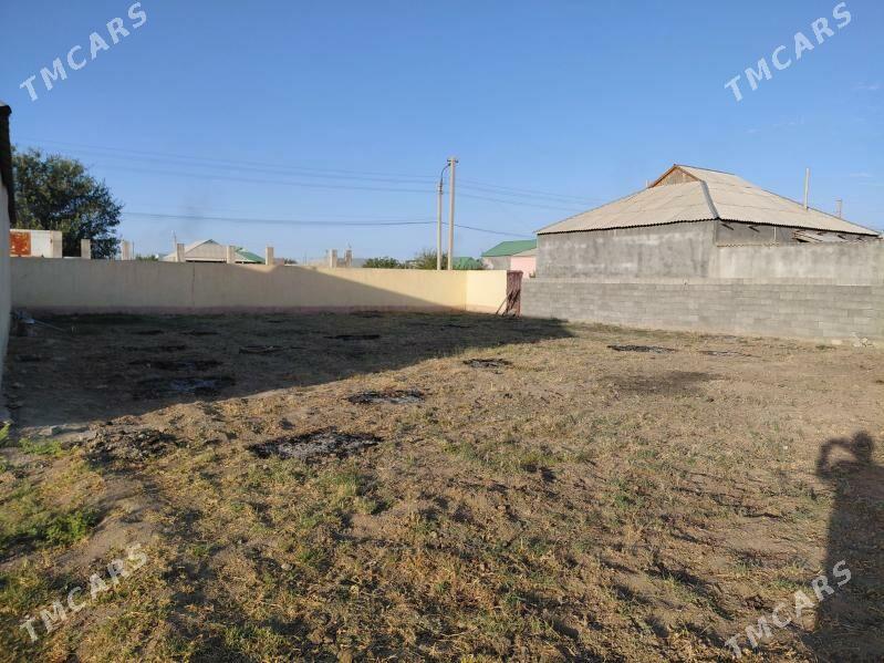 Bos mellek - Gökdepe - img 2