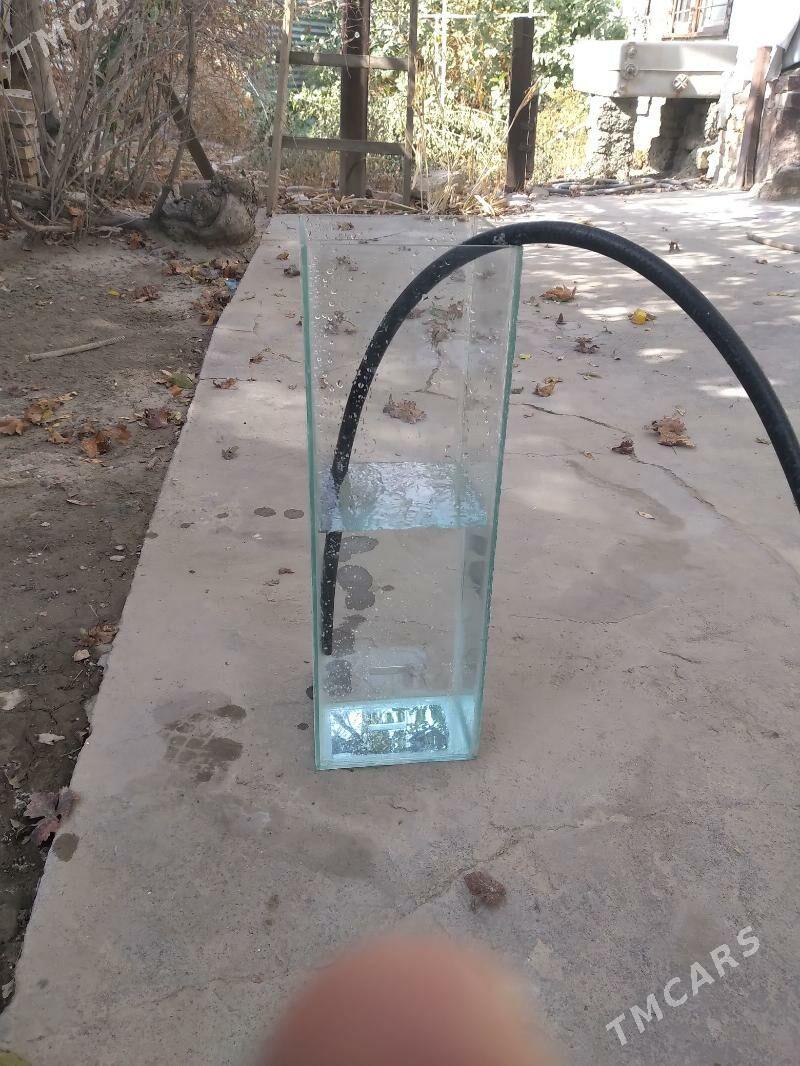 аквариум - Ашхабад - img 2