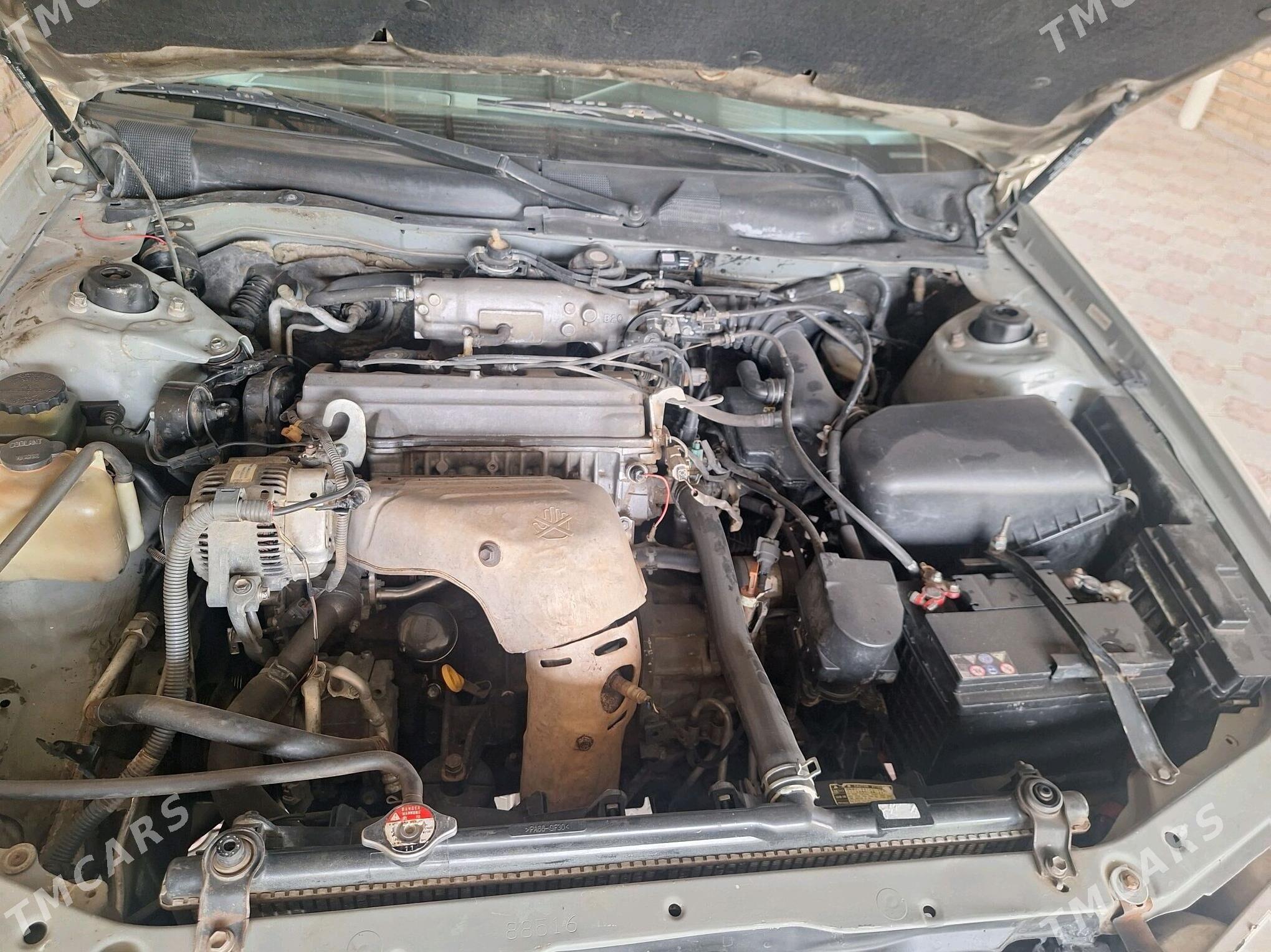 Toyota Camry 2000 - 146 000 TMT - Sakarçäge - img 4