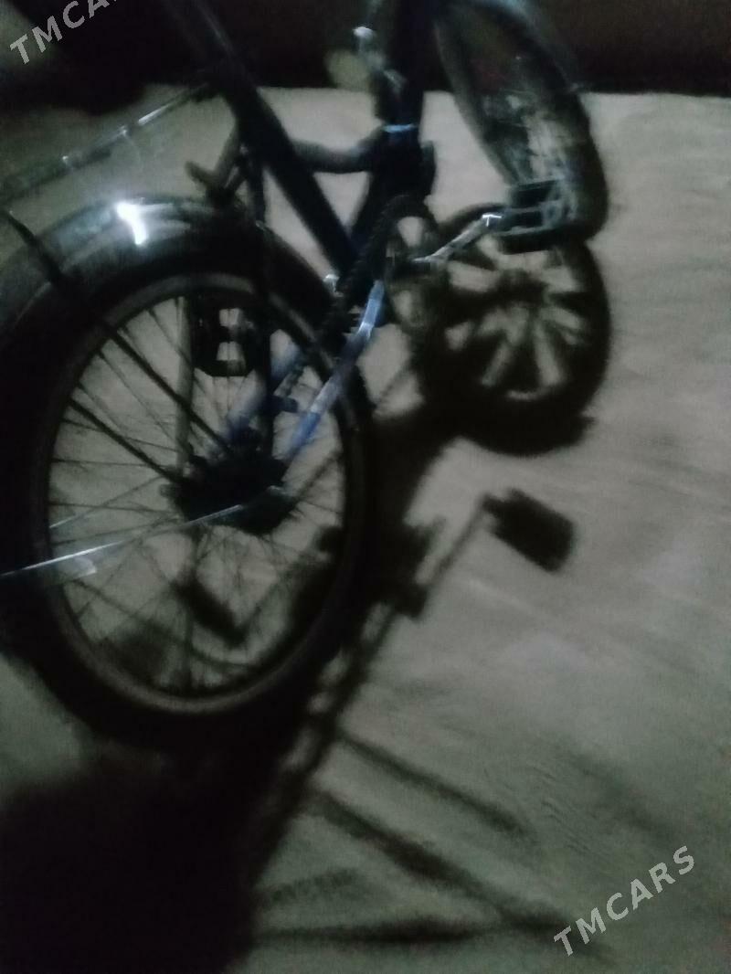 kama - Дашогуз - img 2