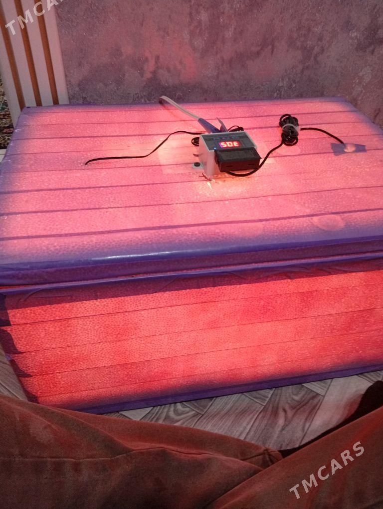 60 юмуртгалик енкибатор - Мары - img 2