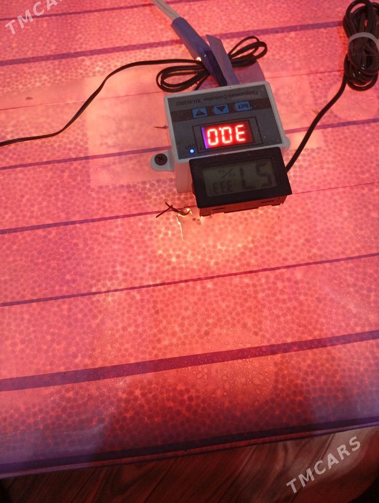 60 юмуртгалик енкибатор - Мары - img 3