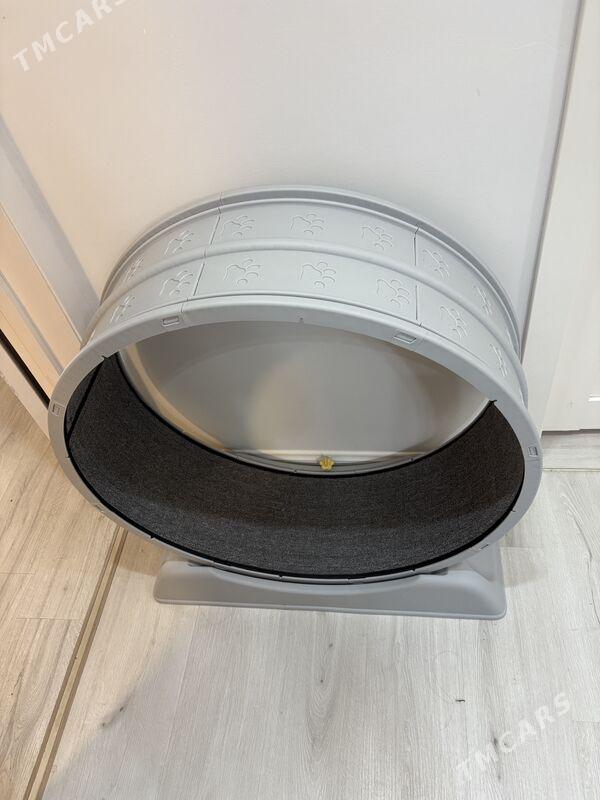 Беговая для кошек - Aşgabat - img 3