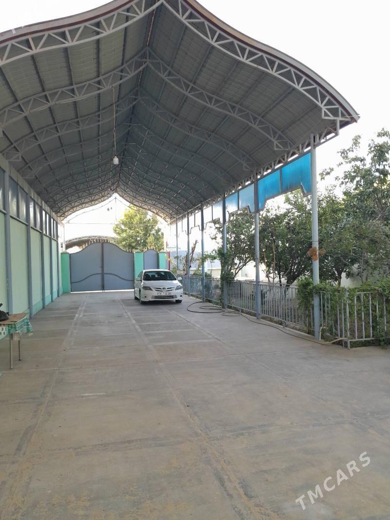 Ànew Magtymgulyda satlyk jaÿ - Ак-Бугдайский этрап - img 2